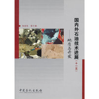 国内外石油技术进展(十一五)-地质与开发