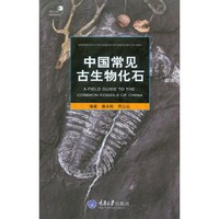 中国常见古生物化石 探寻自然的奥秘，让你成为古生物化石专家，大量精美图片全彩印刷&nbsp