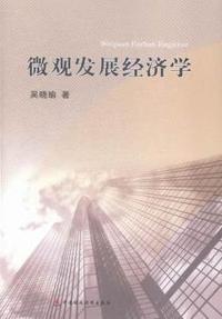 微观发展经济学