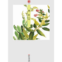 名家小说典藏（10本套装）