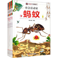 小昆虫·大探秘(全8册)：7-12岁小学生少年儿童科普绘本百科课外阅读书籍 昆虫动物百科知识学习