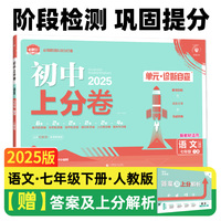 2025版理想树初中上分卷 七年级下册 语文 阶段检测巩固提分 人教版