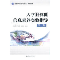 大学计算机信息素养实验指导（第二版）（普通高等教育“十四五”规划教材）