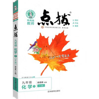 2023春特高级教师点拨九年级化学下册人教版初三9年级化学同步教材全解全析完全解读中学特高级教师讲解出版