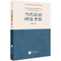 当代法治理论考察