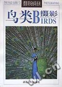 鸟类摄影/摄影现场指导系列