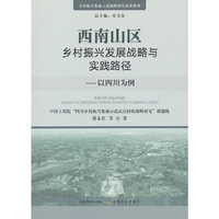 西南山区乡村振兴发展战略与实践路径