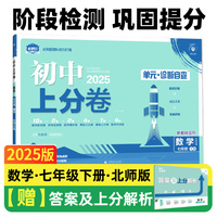 2025版理想树初中上分卷 七年级下册 数学 阶段检测巩固提分 北师版