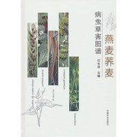 燕麦荞麦病虫草害图谱