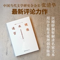 镜像或迷宫 文学的寻思录与还乡记
