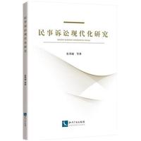 民事诉讼现代化研究