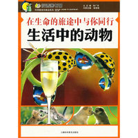 在生命的旅途中与你同行——生活中的动物