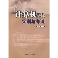 计算机基础实训与考试（附光盘）