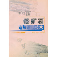 中国铁矿石造块适用技术