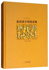 盐池县文物图录集