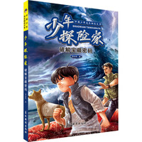 中国少年成长励志文学 少年探险家 破解宝藏密码 孩子爱国教育探险小说 儿童趣味生命与自然教育阅读书