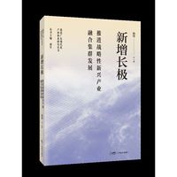 新增长极：推进战略性新兴产业融合集群发展
