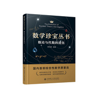 数学珍宝丛书  数论与代数的进化
