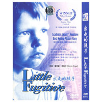 博颖 出走的孩子……(DVD)