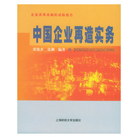 中国企业再造实务(企业改革改制的试验报告)