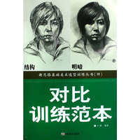 对比训练范本(4结构明暗)/新思路基础美术造型训练丛书(新思路基础美术造型训练丛书)
