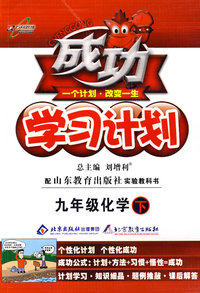 成功学习计划：九年级化学 下（鲁教版）