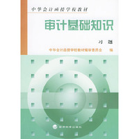 审计基础知识习题