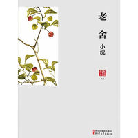 名家小说典藏：老舍小说