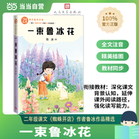 一束鲁冰花（课文里的作家 2年级）