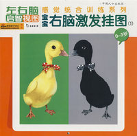 右脑激发挂图（1）0~3岁