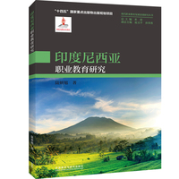 印度尼西亚职业教育研究