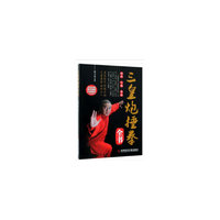 三皇炮捶拳全书