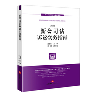 新公司法诉讼实务指南