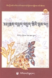 医学甘露宝瓶：藏文