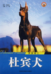 杜宾犬 贵族骑士