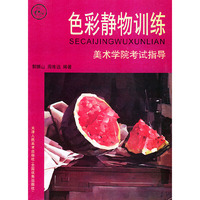 色彩静物训练——美术学院考试指导