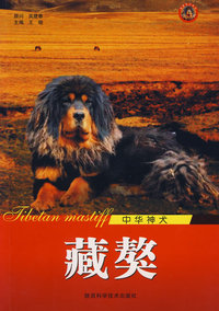 藏獒 中华神犬