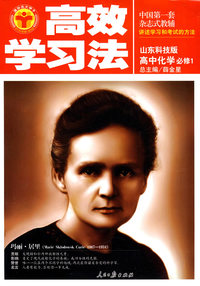 高效学习法：高中化学必修1（山东科技版）