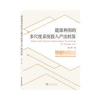 能源利用的多尺度系统投入产出核算