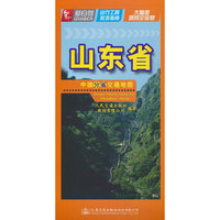 中国分省交通地图-山东省(2023)