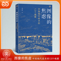 图像的焦虑：中国现代美术的12个观察 启笛丛书