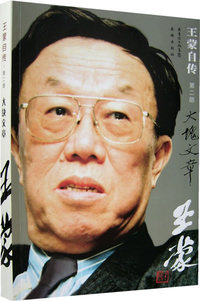 王蒙自传·第二部:大块文章