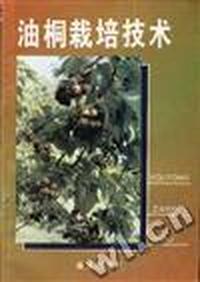 油桐栽培技术