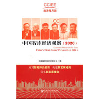 中国智库经济观察（2020）