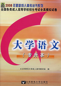大学语文：2008年全国各类成人高等学校招生考试全真模拟试卷（专升本）
