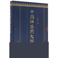 中国壮医药丛书：中国壮医药大辞典