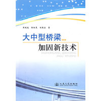 大中型桥梁加固新技术