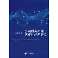 公司财务柔性适度性问题研究