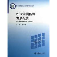 2012中国能源发展报告