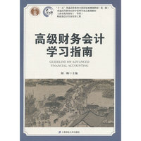 高级财务会计学习指南